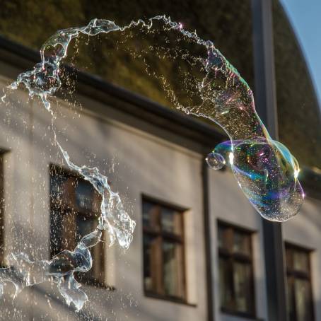 Detailed Soap Bubbles Isolated Beauty in Photography