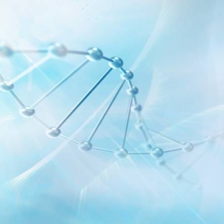 Visualizing Teamwork DNA Models in Scientific Collaboration