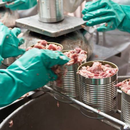 Safety Standards in Poultry Processing Chicken Meat Production