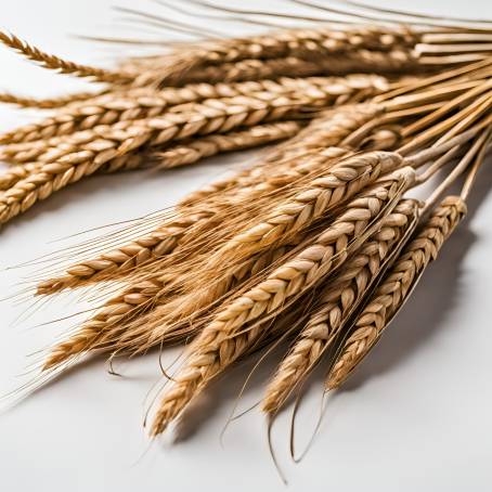 Rustic Wheat Ears and Vintage Sickle A Celebration of Harvest