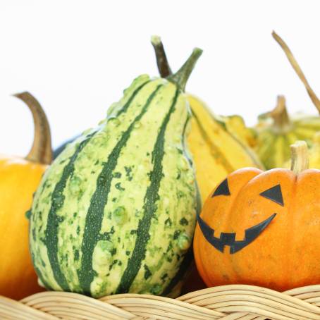 Harvest Festivities Orange Squash Toy Basket