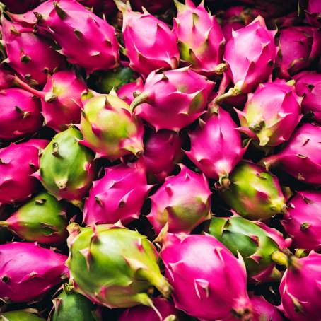 Colorful Dragon Fruit A Feast for the Senses at the Market