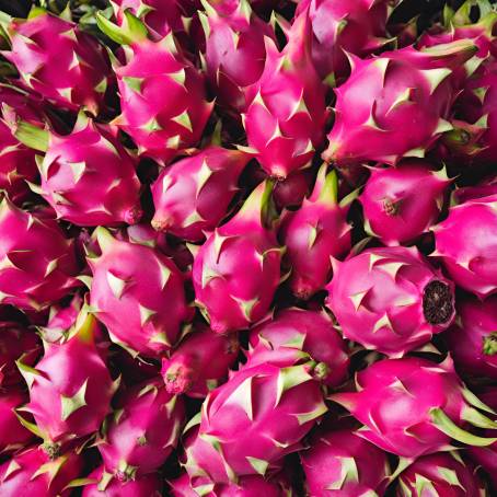 Dragon Fruit Abundance A Vibrant Market Display