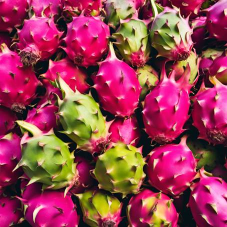 Colorful Bounty A Heap of Fresh Dragon Fruit