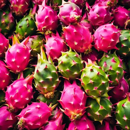 Heaping Goodness Fresh Dragon Fruit at the Market