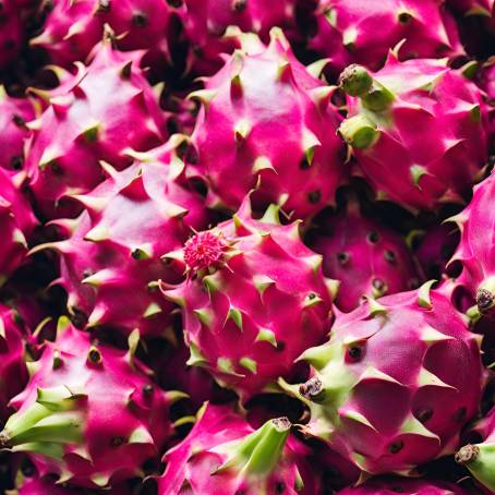 Tropical Treats Fresh Dragon Fruit at the Market