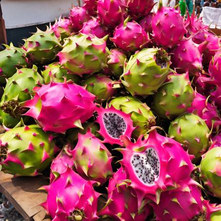 Tropical Treasures A Heap of Fresh Dragon Fruit