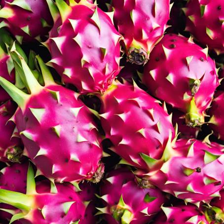 Harvest Joy Fresh Dragon Fruit in a Bustling Market