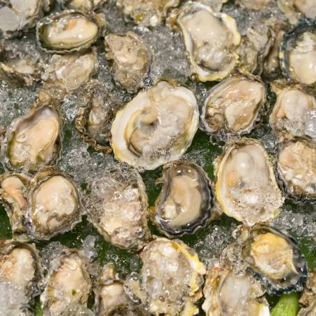 Oysters and Salsa A Flavorful Pairing