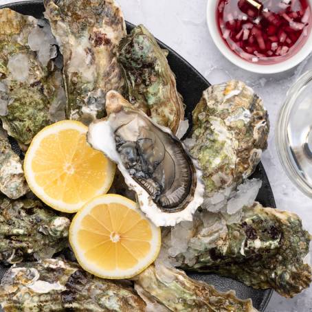 Savor the Flavor Fresh Oysters on Ice