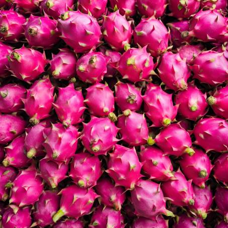 Fresh Dragon Fruit Natures Artistry at the Market