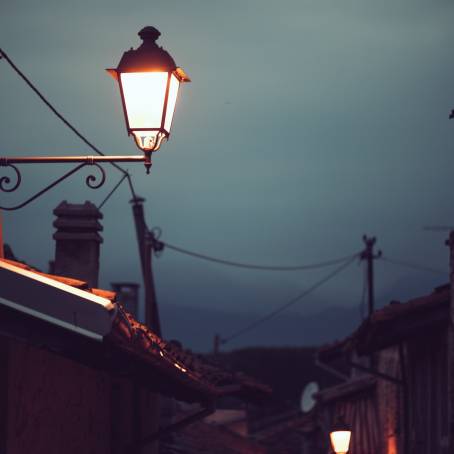 Urban Elegance The Allure of Street Lanterns