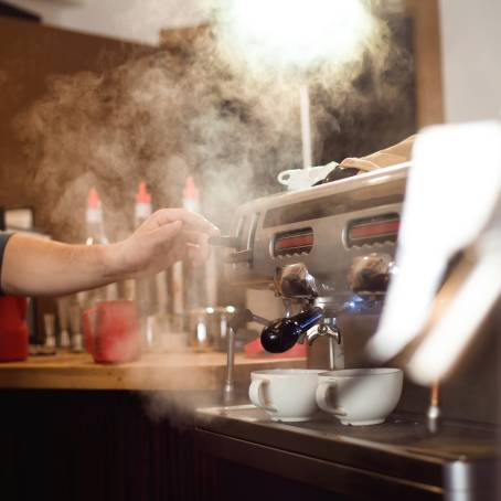 Artisan Barista Crafting the Perfect Cup