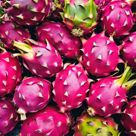 Colorful Harvest Fresh Dragon Fruit at the Open Market