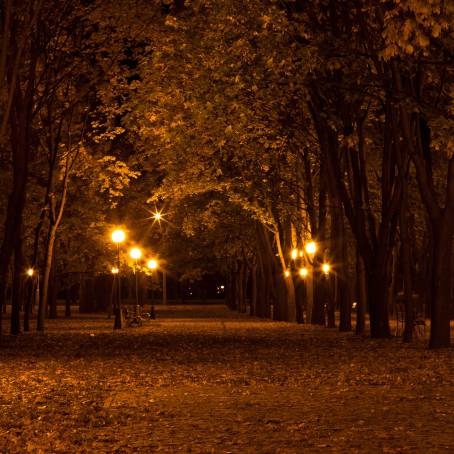 Magical Nights Street Lanterns Illuminating the Path