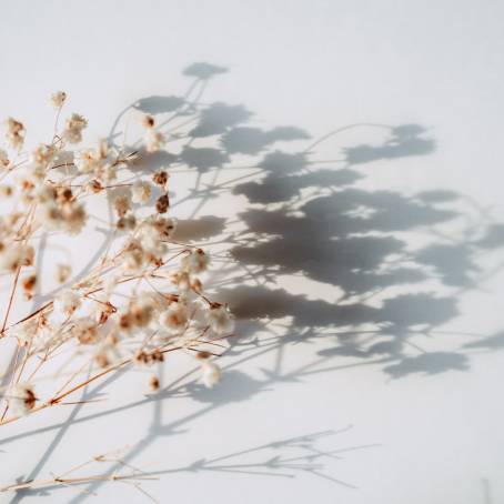 Gypsophila Leaf Shadows A Resin Journey