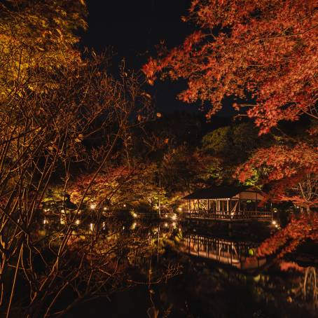 Charming Glow Street Lanterns in the Night