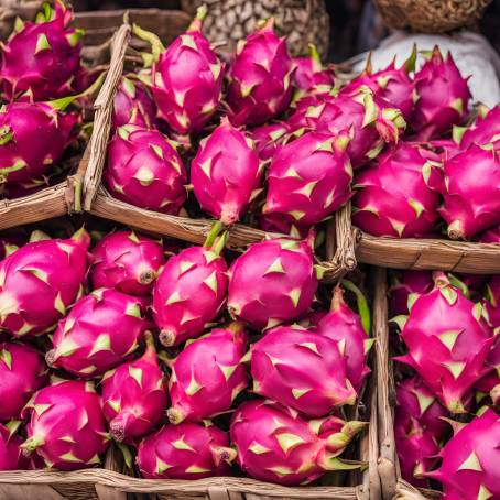 Market Wonders Fresh Dragon Fruit on Display