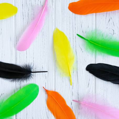 Natures Symphony CloseUp of Multicolored Feathers