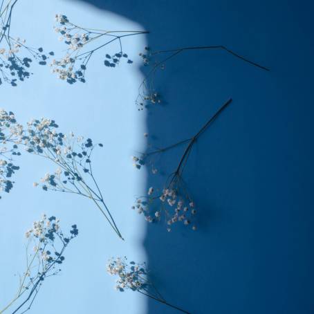 Gypsophila Leaf in Epoxy A Touch of Nature