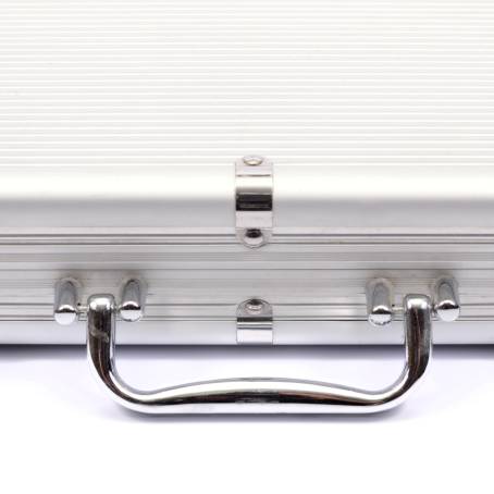 Travel in Elegance The Silvery Suitcase