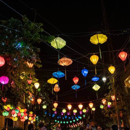 Street Lanterns Guiding Lights in the Urban Night