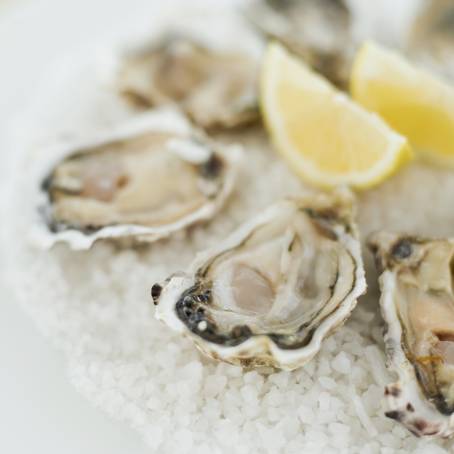 The Freshness of Oysters CloseUp on Flavor