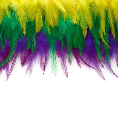 Whimsical Feathers CloseUp with Yellow Accents