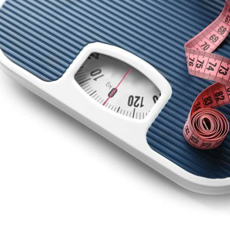 HighPrecision Weighing Scale Your Measurement Solution