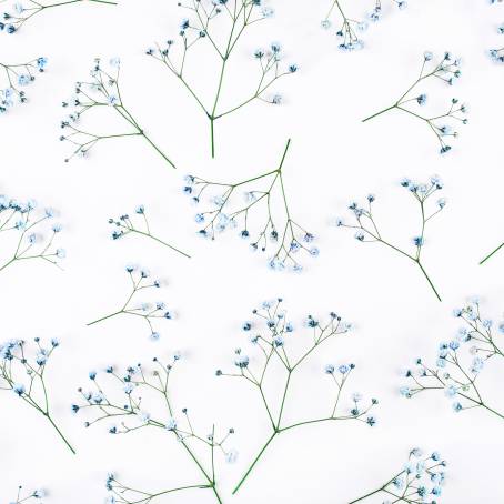 Enchanting Gypsophila Leaf Shadows in Epoxy