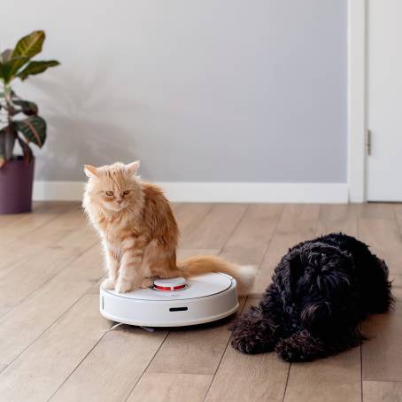 Sleek and Smart Robotic Vacuum for Home Cleaning