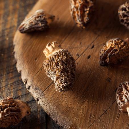 The Charm of Raw Morel Mushrooms