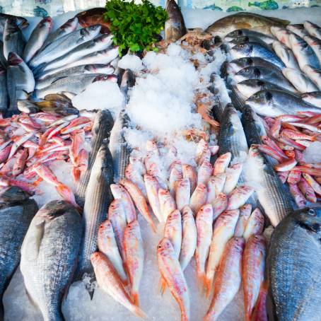 Fresh Seafood Display A Market Feast