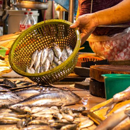 Ocean Treasures A Feast of Fresh Seafood