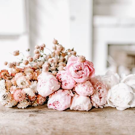 Captivating Blooms A Focused Floral Display