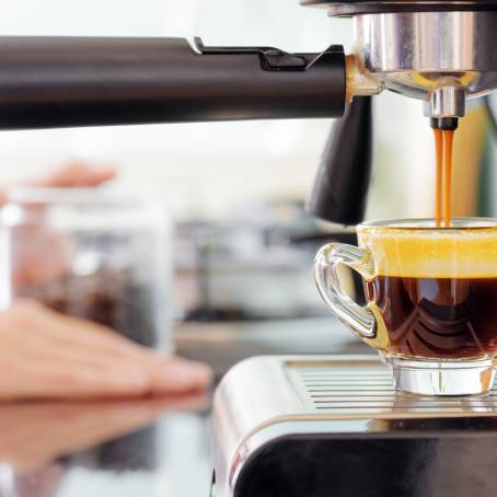 Coffee Mastery Barista in Action