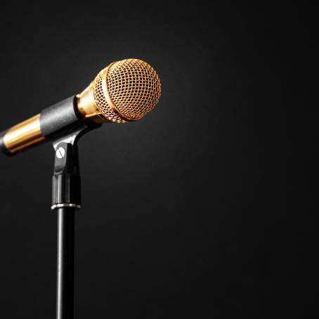 Dynamic Black Microphone The Heart of Sound