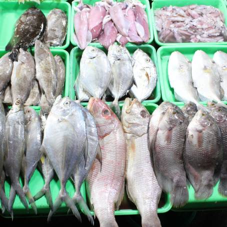 Diverse Delicacies A Seafood Market Experience