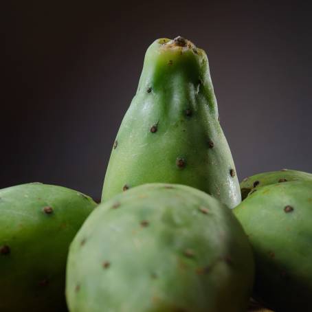 Natures Artistry CloseUp of Tenerifes Prickly Pear