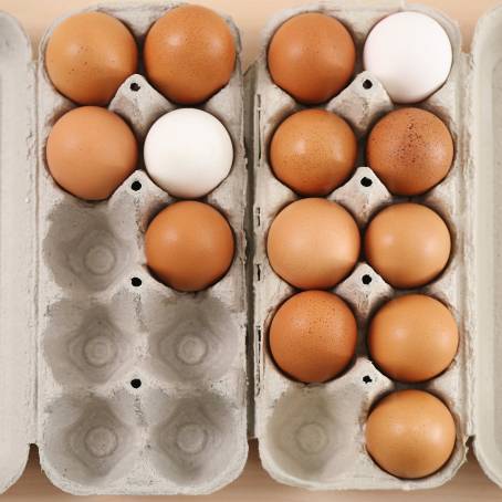 Efficient Egg Packing Freshness on the Conveyor