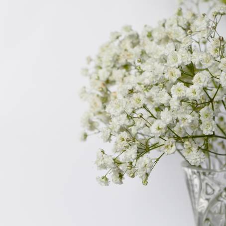 Artistic Impressions Gypsophila Leaf Epoxy Shadows