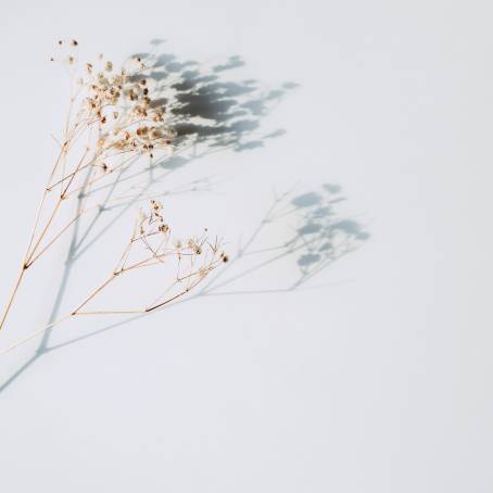 Epoxy Delight Capturing Gypsophila Leaf Shadows