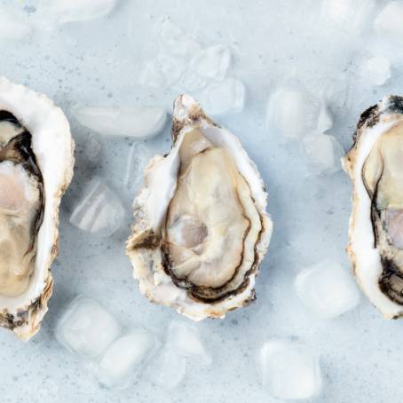 Gourmet Oysters on Ice A Culinary Adventure