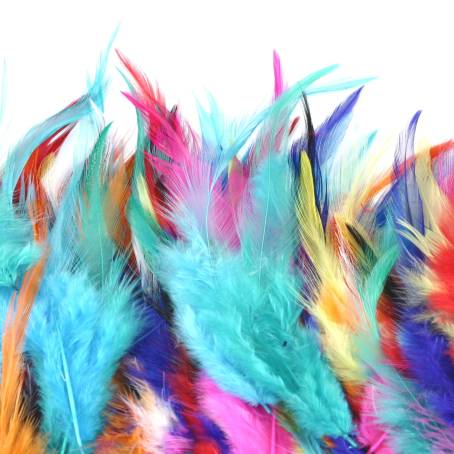 Natures Palette CloseUp of Multicolored Feathers