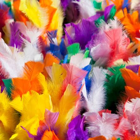 Vibrant Textures CloseUp o Multicolored Feathers