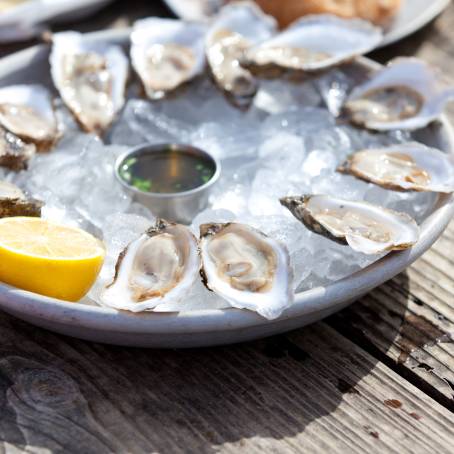 Deliciously Fresh Oysters on Ice with Salsa