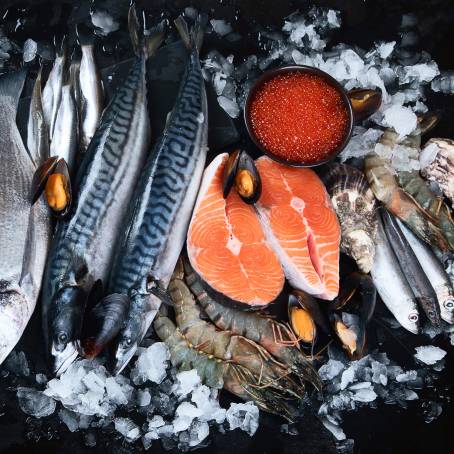 Fresh from the Ocean Seafood Display Extravaganza