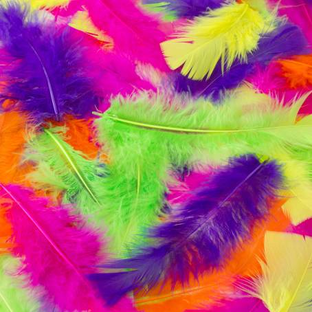 Colorful CloseUp The Art of Multicolored Feathers