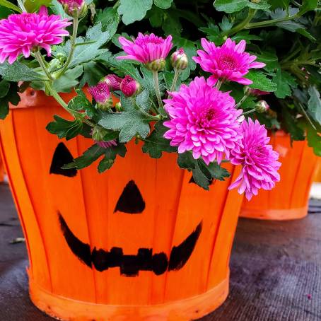 Colorful Halloween Orange Squash Toy Basket