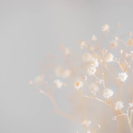 Epoxy Elegance Gypsophila Leaf Shadows in Resin